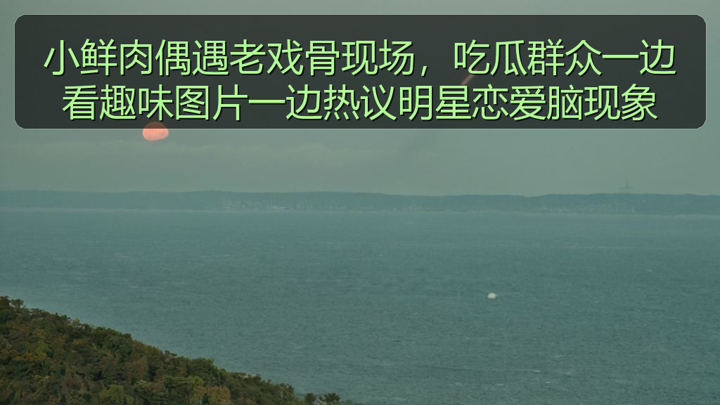 理性吃瓜人的头像