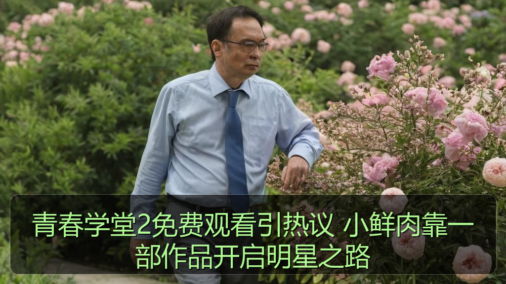 青春学堂2免费观看引热议 小鲜肉靠一部作品开启明星之路